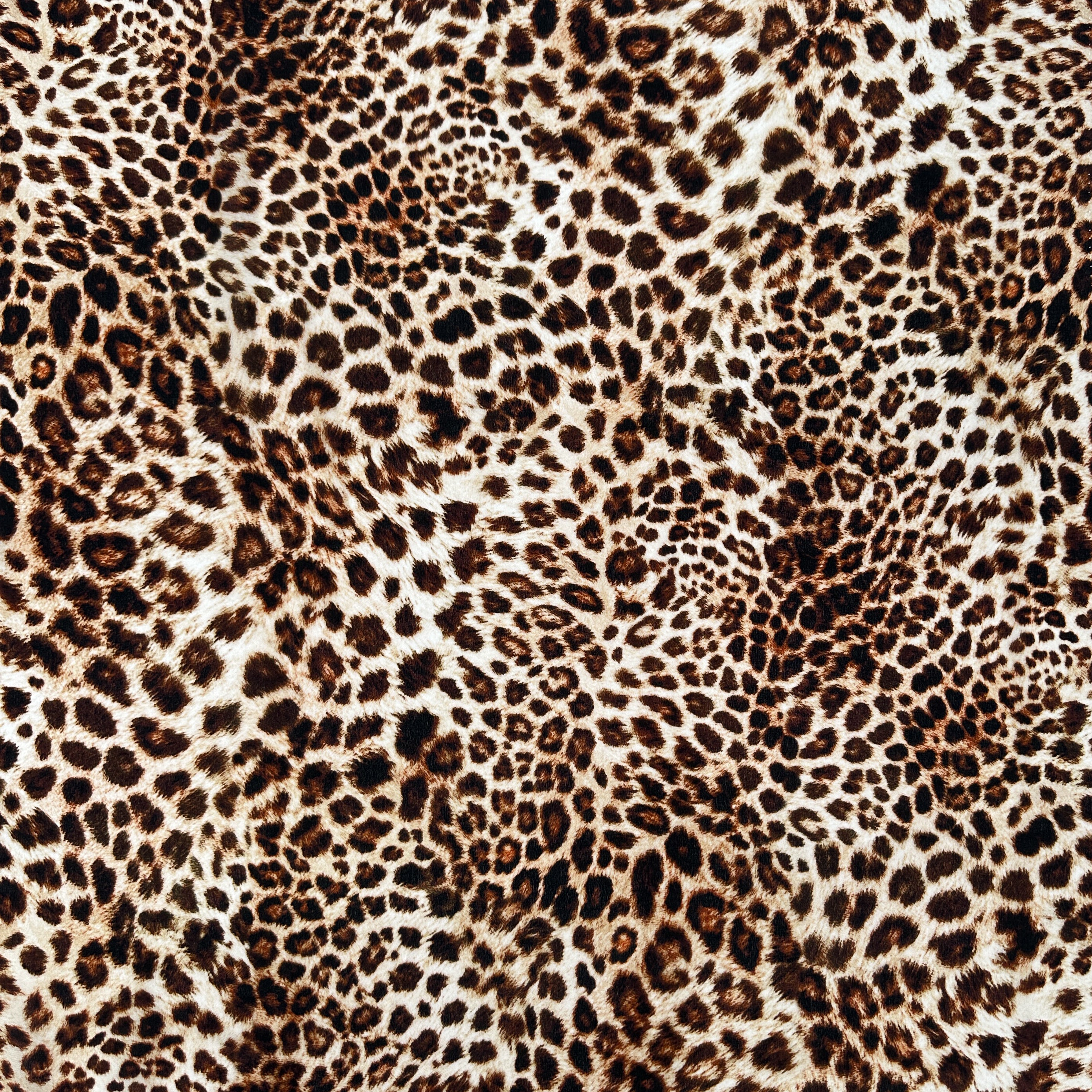 No. 1421 Silk Leoprint